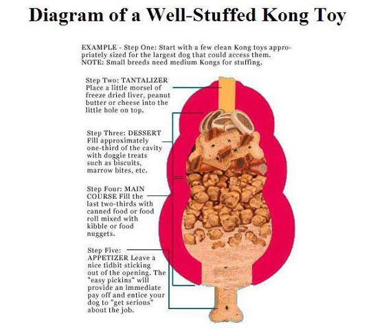 The Fine Art of Kong Stuffing - Denver Dream Dog